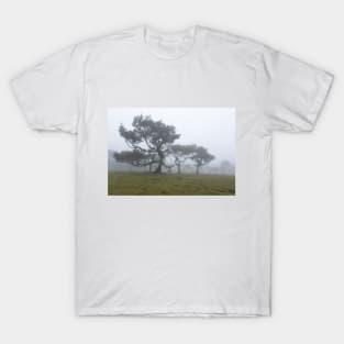 Ancient trees shrouded in fog T-Shirt